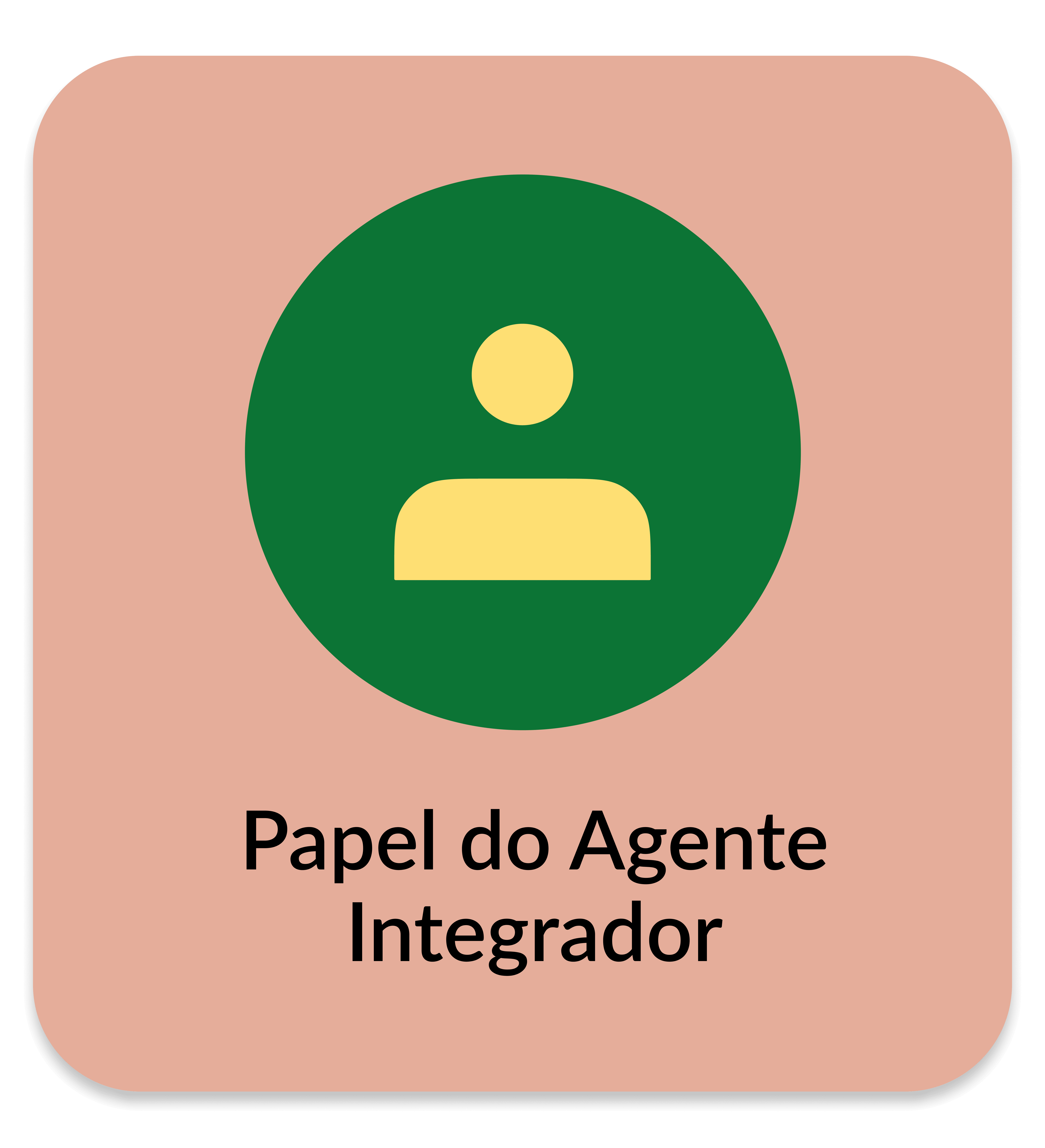 Papel do agente integrador